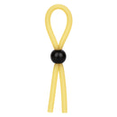 THE LASSO