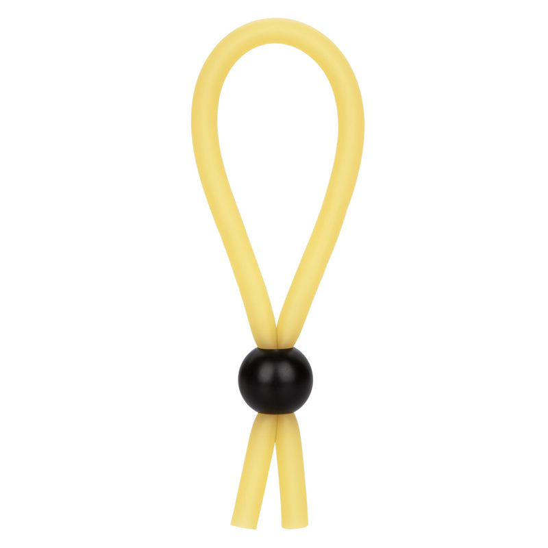 THE LASSO