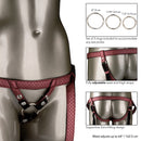 HER ROYAL HARNESS REGAL DUCHESS BRONZE