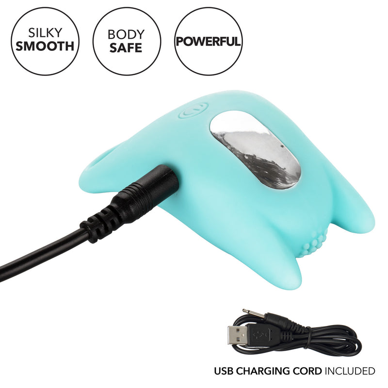 DUAL EXCITER ENHANCER