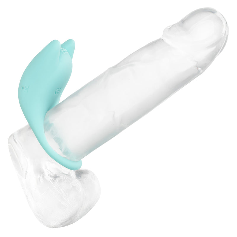 DUAL EXCITER ENHANCER
