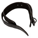 BOUNDLESS COLLAR & LEASH