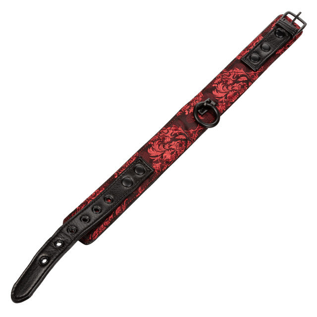 SCANDAL COLLAR WITH LEASH