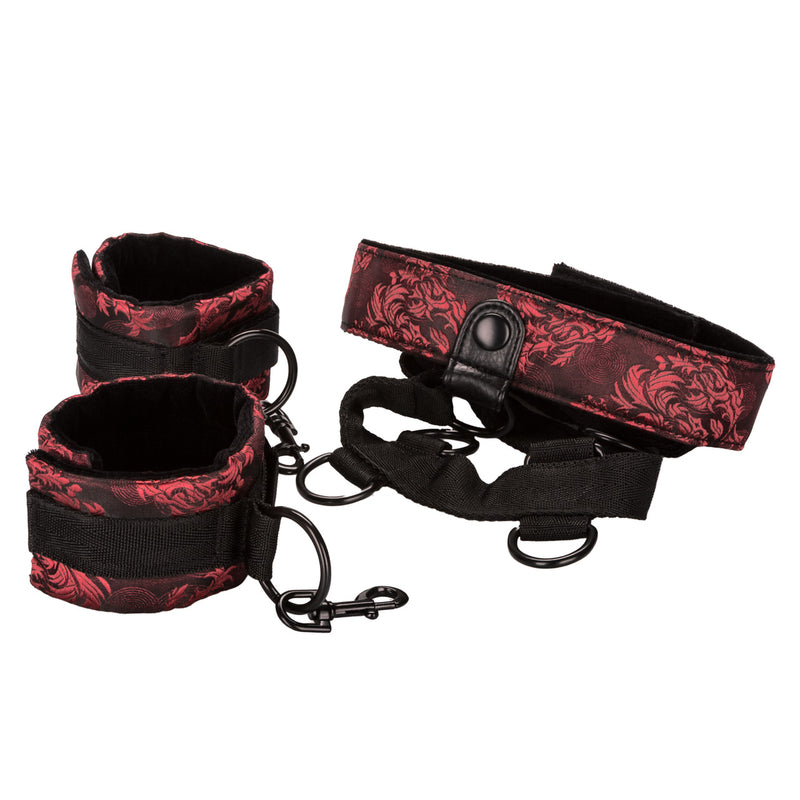 SCANDAL COLLAR BODY RESTRAINT