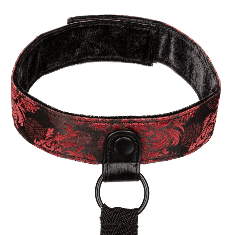 SCANDAL COLLAR BODY RESTRAINT