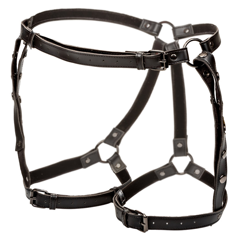 EUPHORIA THIGH HARNESS P/S