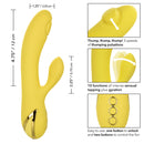 CALIFORNIA DREAMIN SAN DIEGO SEDUCTION