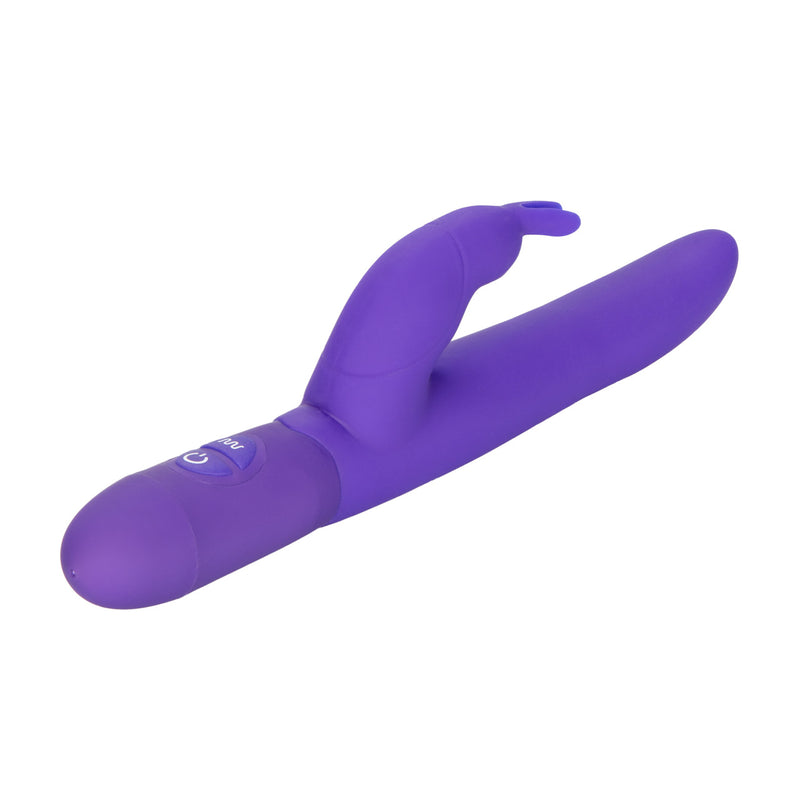 POSH BOUNDING BUNNY PURPLE