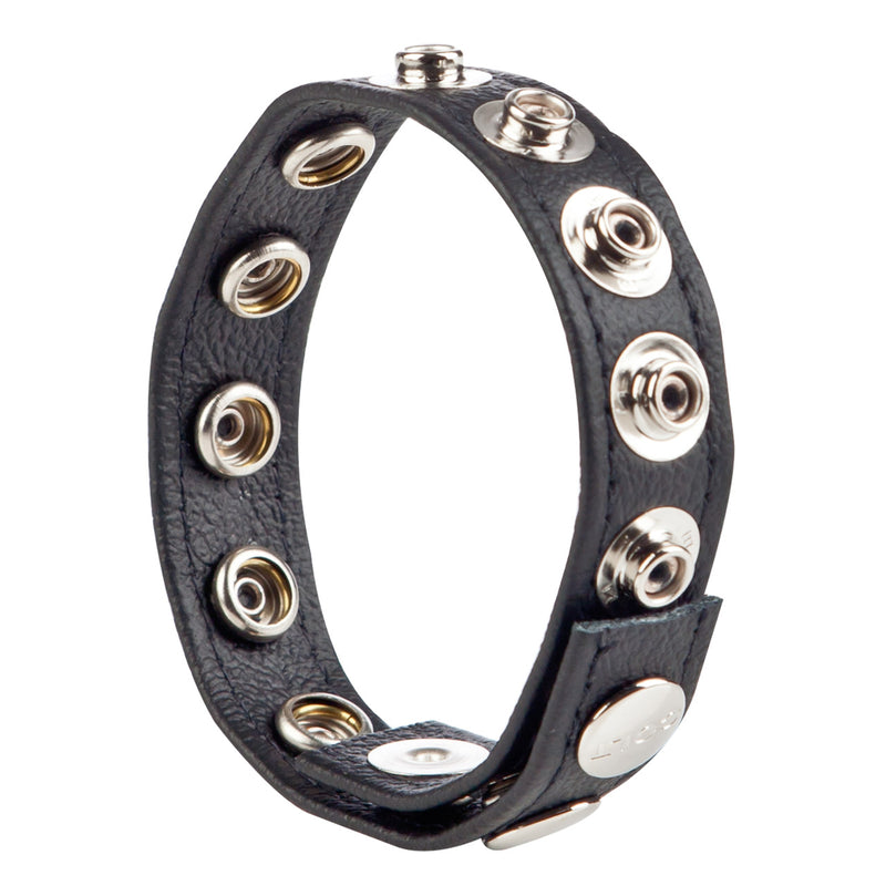COLT LEATHER RING 8 SNAPS