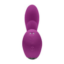 PLAYBOY ARCH PURPLE