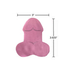 SUPER FUN PENIS STICKY NOTES