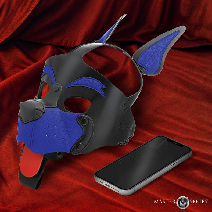 MASTER SERIES ALPHA DOG HOOD BLUE