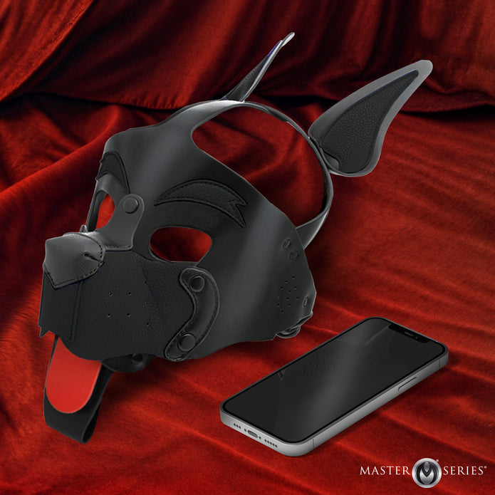MASTER SERIES ALPHA DOG HOOD BLACK