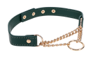 INDICA DAY COLLAR