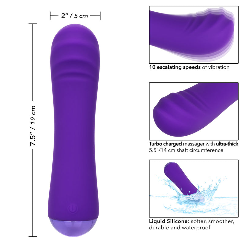 CHUBBY BUDDY PURPLE