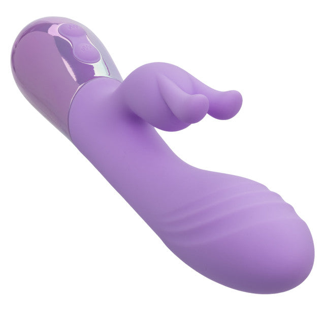 AURA DUAL BUNNY PURPLE