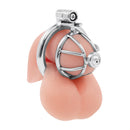LOCK MASTER STAINLESS STEEL INVERTED MICRO CHASTITY CAGE WITH URETHRAL STRAW