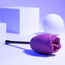 PLAYBOY PETAL VIBE PINK