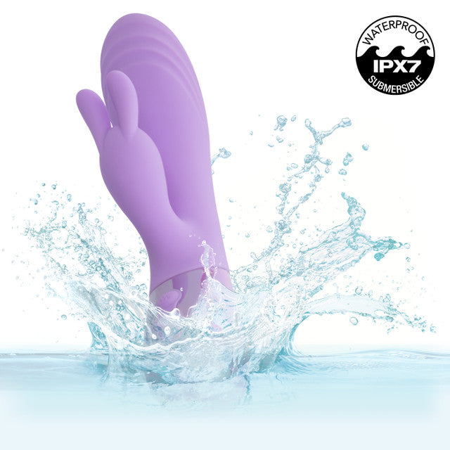 AURA DUAL BUNNY PURPLE