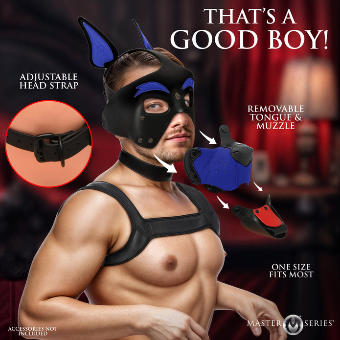 MASTER SERIES ALPHA DOG HOOD BLUE