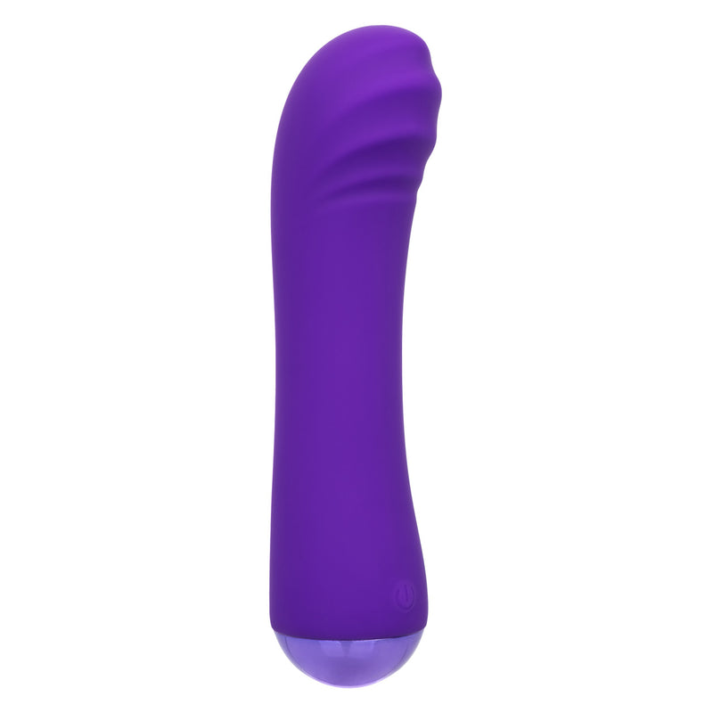 CHUBBY BUDDY PURPLE