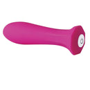 THE QUEEN PINK BULLET