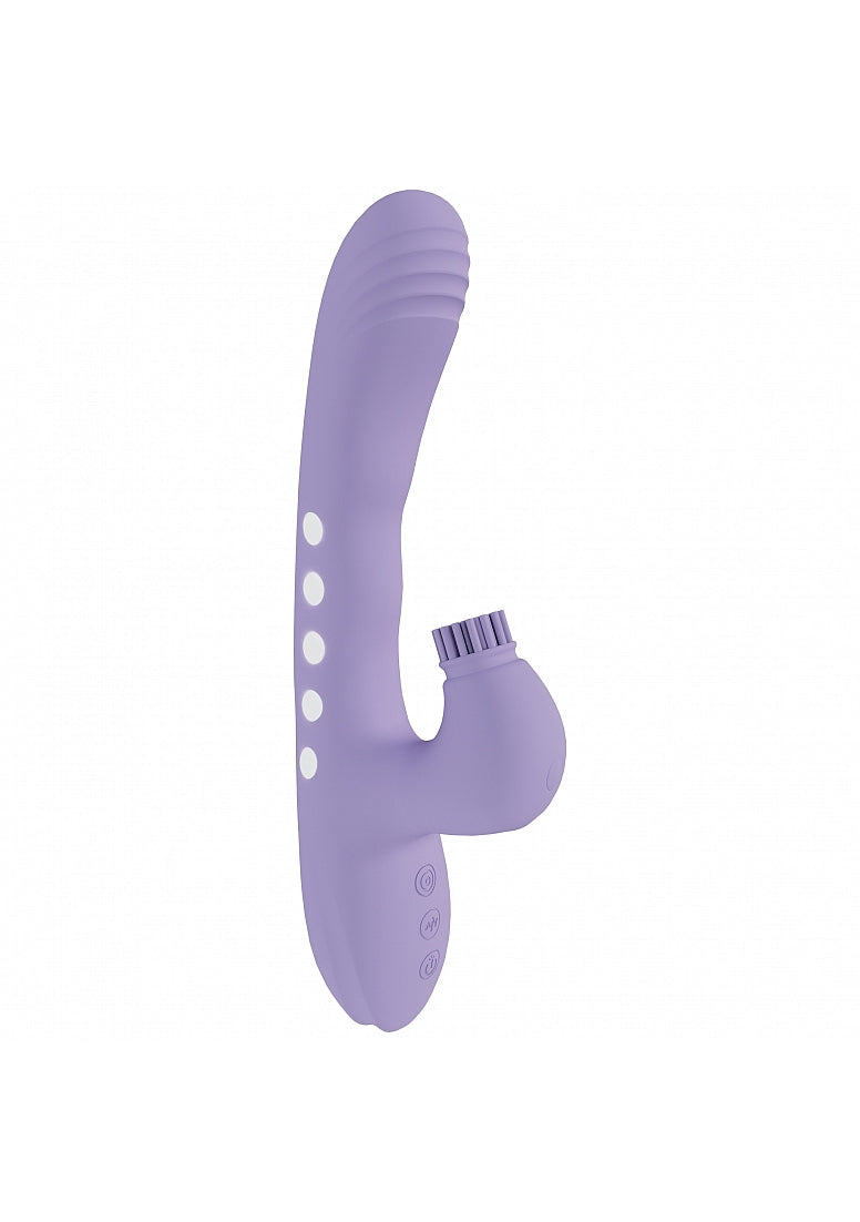 VIVE ANDRIA PURPLE