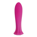 THE QUEEN PINK BULLET