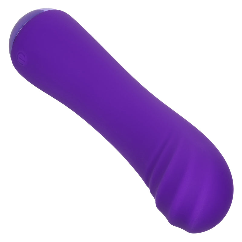 CHUBBY BUDDY PURPLE