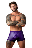 EGGPLANT SHORT PURPLE SMALL