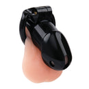 LOCK MASTER RESIN C*CK CAGE