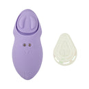ADAM & EVE PLEASURE PANTIES PURPLE