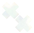 NEVA NUDE HOLOGRAPHIC WHITE X PASTIES